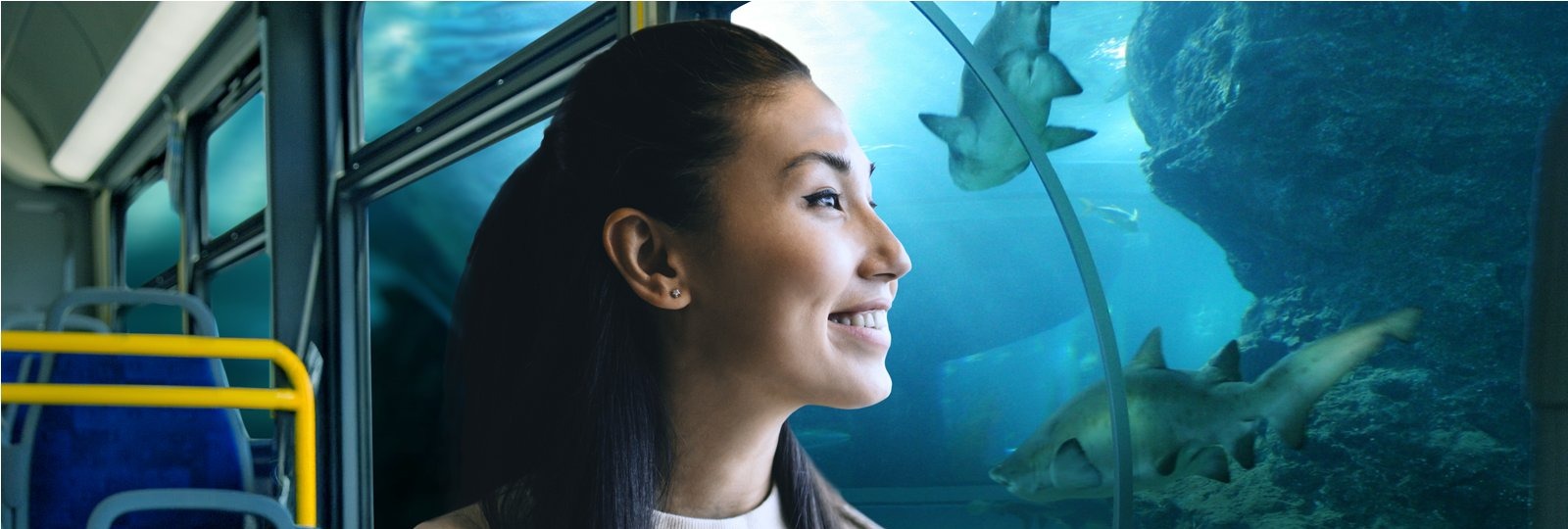 Transit rider in a bus looking at an aquarium